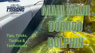 Mahi mahi dorado dolphin 2024 | mahi mahi dolphin fish | Dolphin Fish | Dorado fish | FSFTV