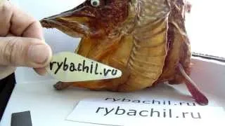 Изготовление блесны на щуку в домашних условиях.Видео rybachil.ru