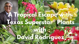 A Tropical Escape with Texas Superstar® Plants with David Rodriguez