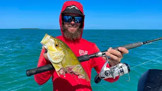 Live Bait Top Water Action | Inshore Fishing | CCC