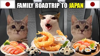 Cat Memes Family Vacation Compilation To Japan + Extra Scenes