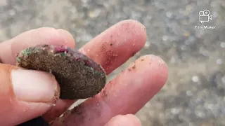 metal detecting Ireland silver