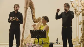 Manuel de Falla "Spanish Dance". Sofia Kiprskaya - Harp, V. Maslov, M. Vedunkin - Percussion.