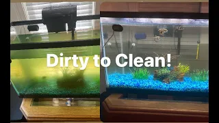 How to Clean Your Fish Tank From Dirty to Clear in 5 minutes!