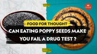 Can Eating Poppy Seeds Make You Fail A Drug Test | Food For Thought