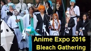 Anime Expo 2016 - Bleach Gathering