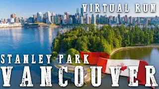 🆃RE🅰DMILL | Virtual 🆁un - VANCOUVER -  STANLEY PARK LOOP #treadmill  #run