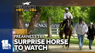 This year's horse to watch isn't who you might think ...