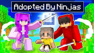 Adopted by Ninjas in Minecraft!