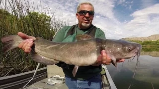 Channel Catfishing in Washington