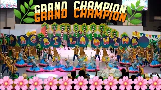 NIYOGYUGAN FESTIVAL 2019 | PAGBILAO | GRAND CHAMPION