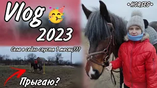 Мой день на конюшне VLOG | Села в седло спустя 1 месяц | Прыгаю?