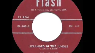 1956 HITS ARCHIVE: Stranded In The Jungle - Jayhawks