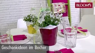 Geschenkideen im Becher | DIY Sommerdeko | summer decoration | BLOOM’s Floristik