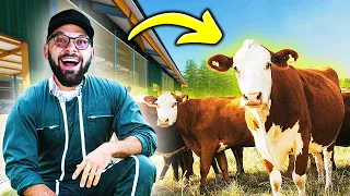 ROZJÍŽDÍME NOVÝ BYZNYS!!! 🐄 | Farming Simulator 22 #39