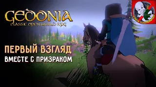 Gedonia - RPG с открытым миром,которую создал один человек!