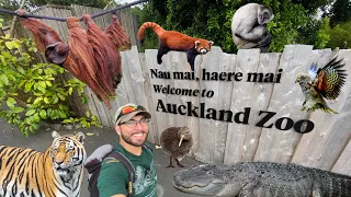 BEST ZOO in the WORLD!? | Auckland Zoo Tour - New Zealand