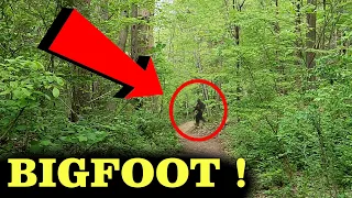 BIGFOOT in NEW YORK ! What did we just see ?