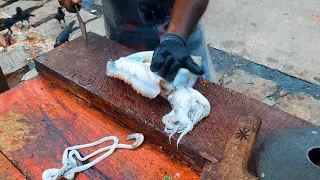 Huge Squid Cutting  Fast Skills Asmr Cuttlefish Cutting street |ASMR Cutting Sri Lanka 🇱🇰