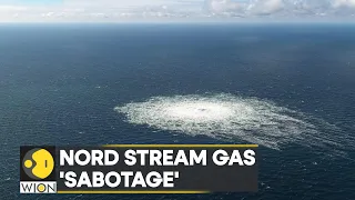 Sweden and Denmark investigate the four Nord Stream leaks | Latest English News | WION News