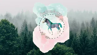 Кастом лошади|Custom horse