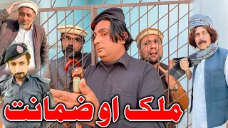 Malak Ou Zamanat New Funny Video Daji Gull Vines