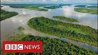 Climate change threat in Congo as vast carbon-rich peat slab faces development - BBC News