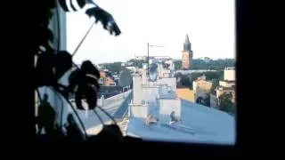 Seagull chicks learning to fly