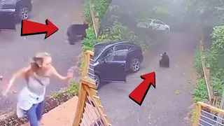 Bear gets inside a car and scares lady 🤣