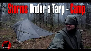 ⛈️ Thunder & Lightning - Strong Storms, Heavy Rain and Strong Winds Under a Tarp - Camping Adventure