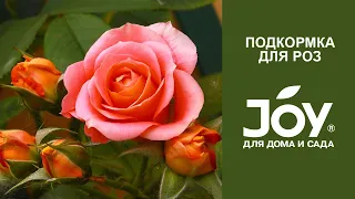 Удобрение JOY "Для роз комнатных и садовых" (жидкая подкормка на основе лигногумата)