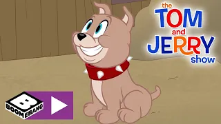 The Tom and Jerry Show | Junkyard Dog | Boomerang UK 🇬🇧