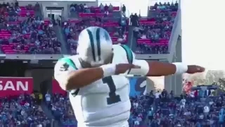 Highlights Celebration Dab NFL Football (Compilation)