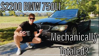 I Bought A 7 Series BMW For Less $ Than A USED HONDA