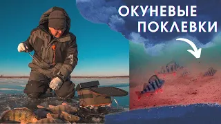 Зимняя рыбалка - окунь на балансиры. Подводная съемка на FocusFish. Первый лед. Кама, декабрь 2021