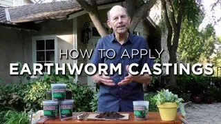How to Use Earthworms Castings