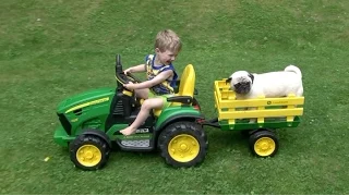 PUG LOVES JOHN DEERE TRACTORS