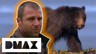 Bear Island - Place With Friendliest & Most Unusual Bears In The World? | Deadly Islands