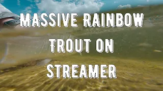 Massive Rainbow trout on Streamer | Fly Fishing for Trout | Oxfordshire | UK