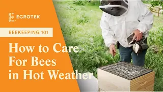 Summer Beekeeping Tips: How to Care For Bees in Hot Weather | Ecrotek Beekeeping Supplies