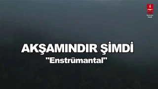 Senai Demirci "AKŞAMINDIR ŞİMDİ" ENSTRÜMANTAL