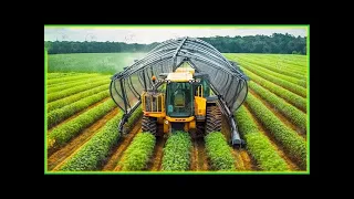 100 Unbelievable Modern Agriculture Machines That Are At Another Level.