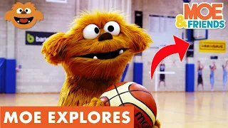 Moe Explores Basketball | Moe Learns How To Shoot Hoops | #MoeExplores