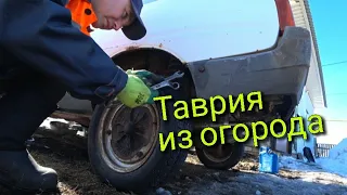 весенние оживление таврии