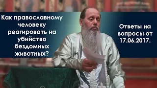 Убийство животных. Как реагировать православному?