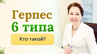 Вирус герпеса 6 типа, кто такой?