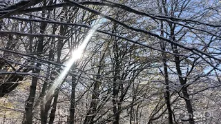 საქართველო/𝙶𝚎𝚘𝚛𝚐𝚒𝚊☃︎ რაჭა(სოფელი ცხმორი)☃︎𝕋𝕤𝕜𝕞𝕠𝕣𝕚 ♫𝕀𝕟 𝕥𝕙𝕖 𝕖𝕟𝕕♫