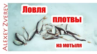 Ловля плотвы. Зимняя рыбалка со льда. Ловля на мотыля.