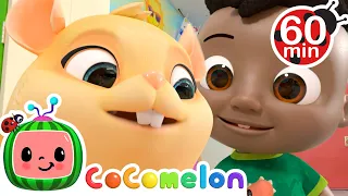 Class Pet Song | Cocomelon | Best Animal Videos for Kids | Kids Songs and Nursery Rhymes