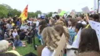 Greta Thunberg joins climate protest in Washington